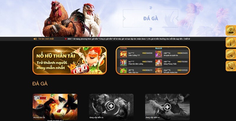 Đá gà trực tuyến