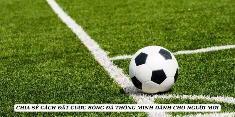 ty-le-keo-kinh-nghiem-danh-cho-nguoi-moi