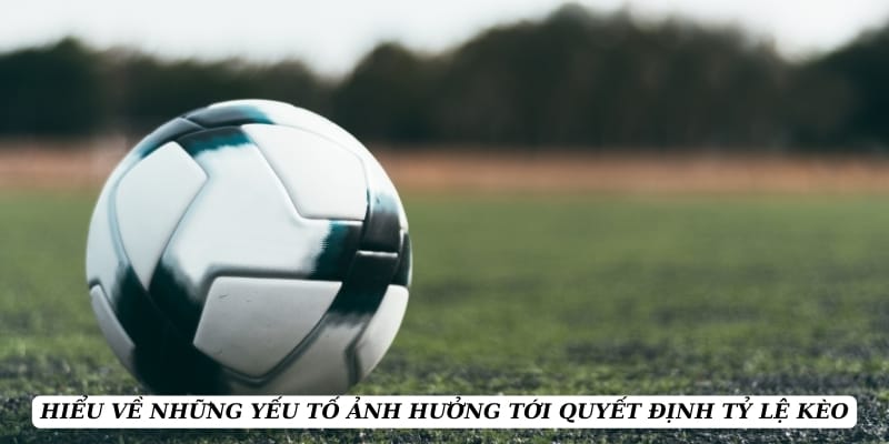 ty-le-keo-yeu-to (1)